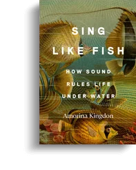 Kindle Self Book Publishing